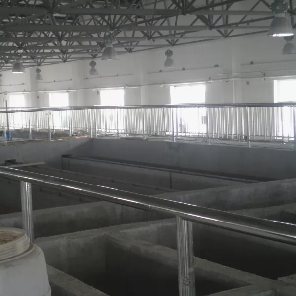 Thirteenth Division Water Treatment Plant